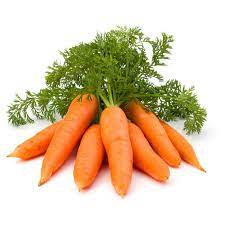 carrot