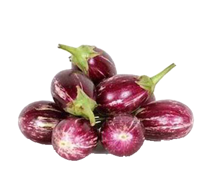 brinjal-co-2