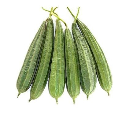 ridge-gourd---jaipur-long