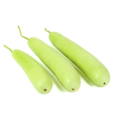 bottle-gourd---pspl
