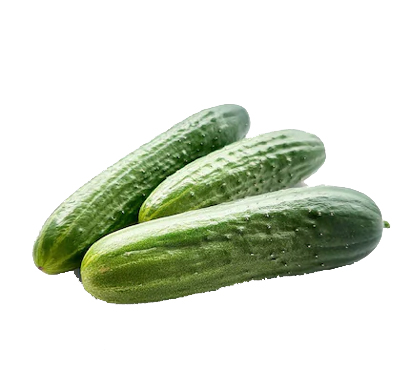 cucumber---nivetha