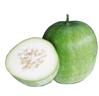 ash-gourd---co-1