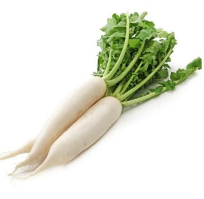 radish-pusa-chetki-long
